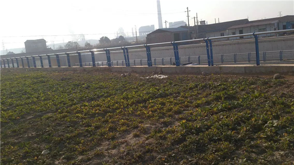 北京不锈钢河道护栏